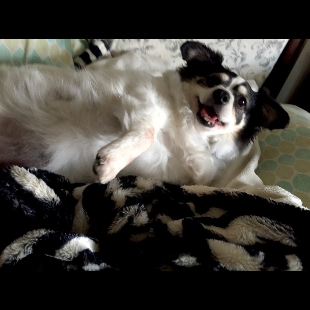 Meet your Posher, md8150.